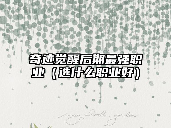 奇迹觉醒后期最强职业(选什么职业好)