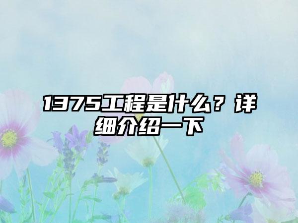 1375工程是什么？详细介绍一下
