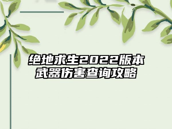 绝地求生2022版本武器伤害查询攻略