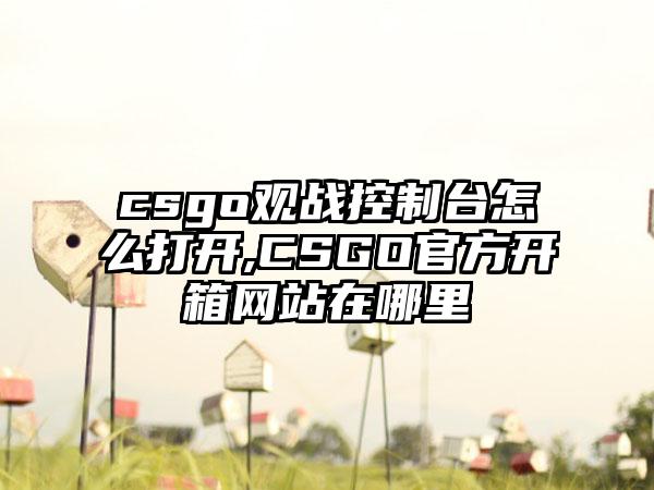 csgo观战控制台怎么打开,CSGO官方开箱网站在哪里
