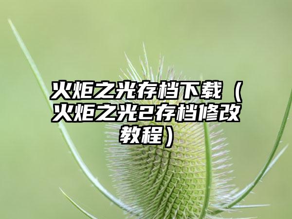 火炬之光存档（火炬之光2存档修改教程）