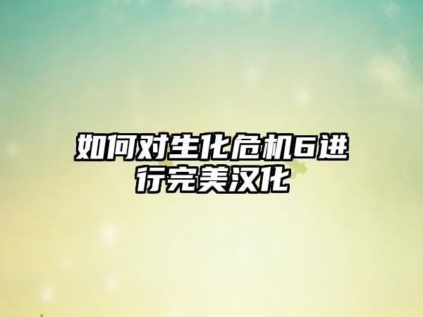 如何对生化危机6进行完美汉化