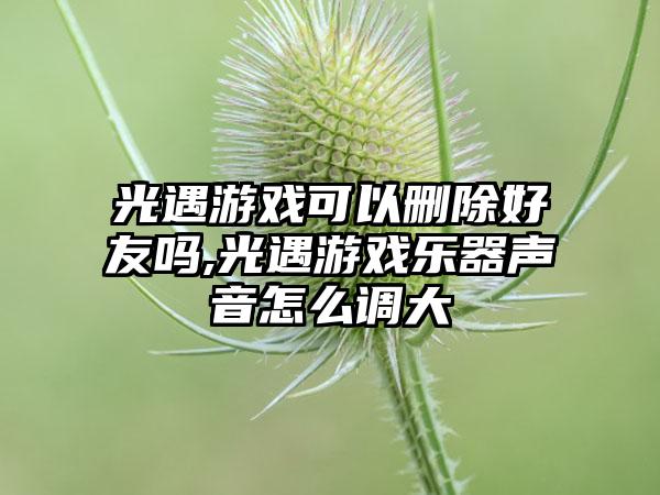 光遇游戏可以删除好友吗,光遇游戏乐器声音怎么调大