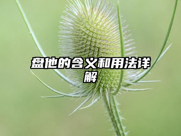 盘他的含义和用法详解