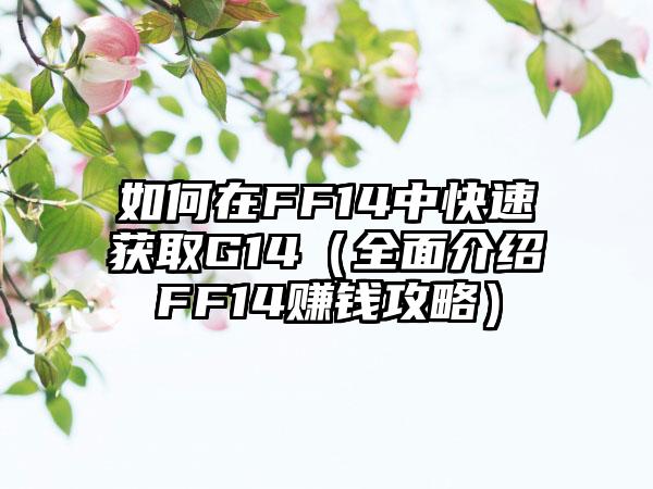 如何在FF14中快速获取G14（全面介绍FF14赚钱攻略）