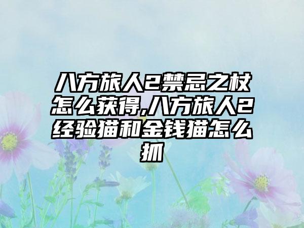 八方旅人2禁忌之杖怎么获得,八方旅人2经验猫和金钱猫怎么抓