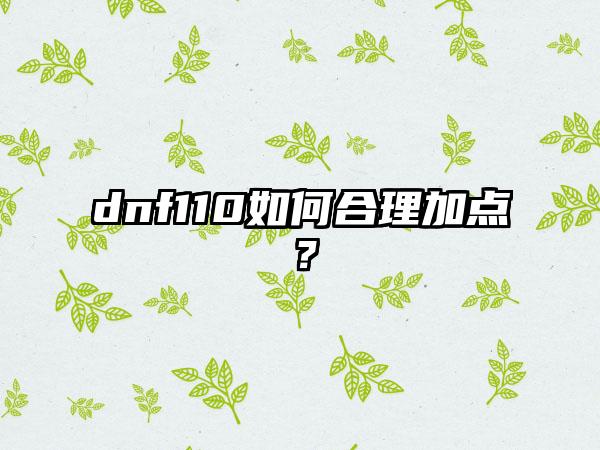 dnf110如何合理加点？