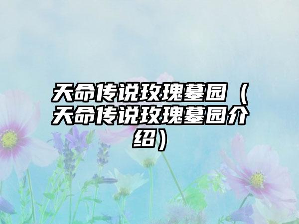 天命传说玫瑰墓园（天命传说玫瑰墓园介绍）