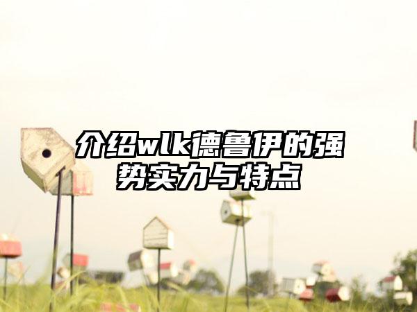 介绍wlk德鲁伊的强势实力与特点