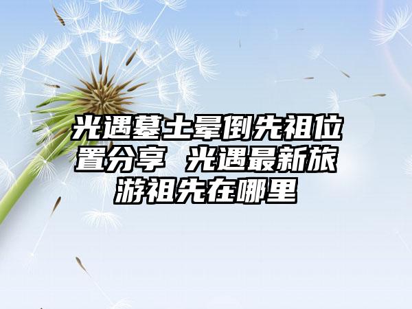 光遇墓土晕倒先祖位置分享 光遇最新旅游祖先在哪里