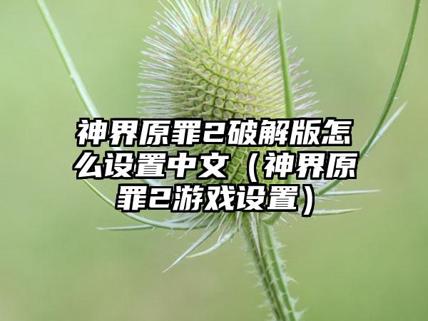 神界原罪2破解版怎么设置中文（神界原罪2游戏设置）
