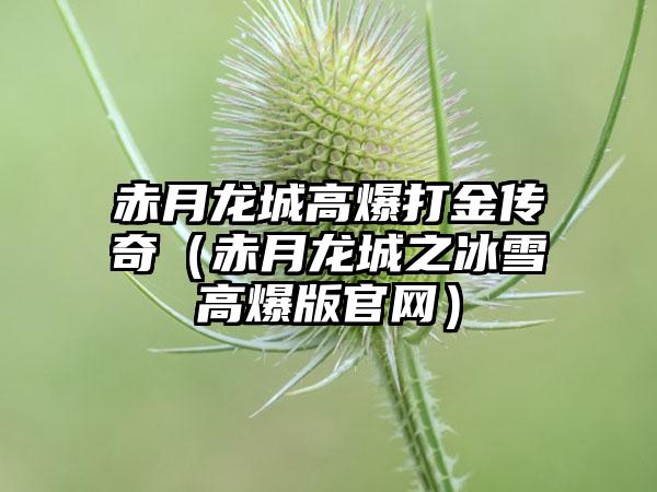 赤月龙城高爆打金传奇（赤月龙城之冰雪高爆版）