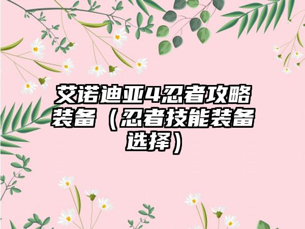 艾诺迪亚4忍者攻略装备（忍者技能装备选择）