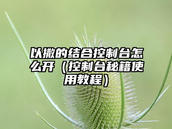 以撒的结合控制台怎么开(控制台秘籍使用教程)