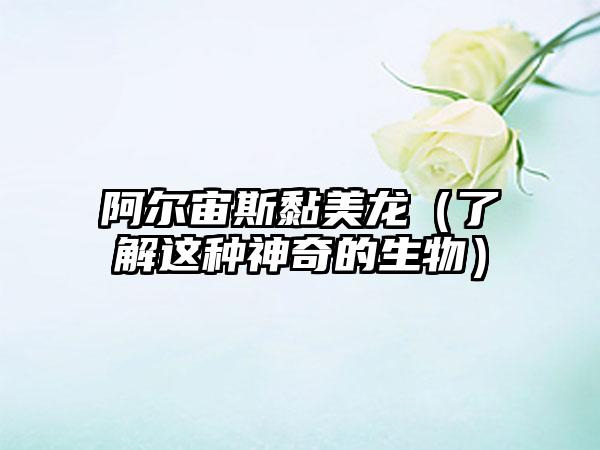 阿尔宙斯黏美龙（了解这种神奇的生物）