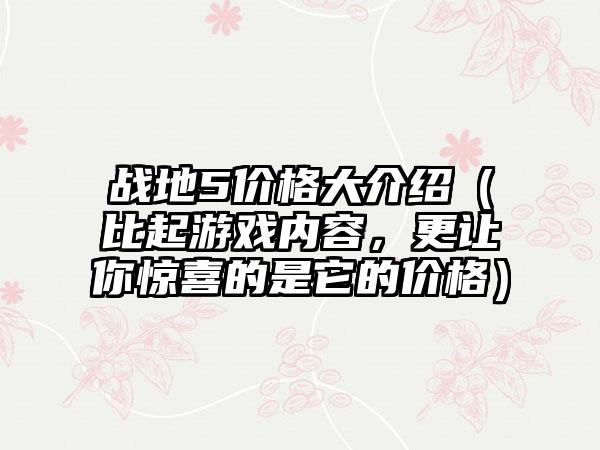 战地5价格大介绍（比起游戏内容，更让你惊喜的是它的价格）