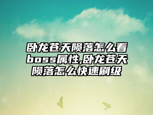 卧龙苍天陨落怎么看boss属性,卧龙苍天陨落怎么快速刷级