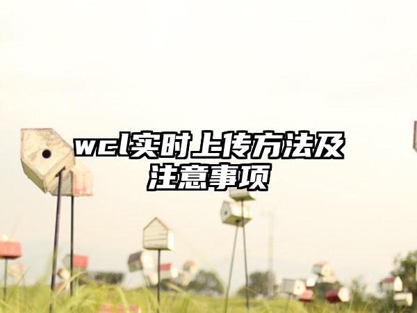 wcl实时上传方法及注意事项