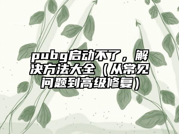pubg启动不了，解决方法大全（从常见问题到高级修复）