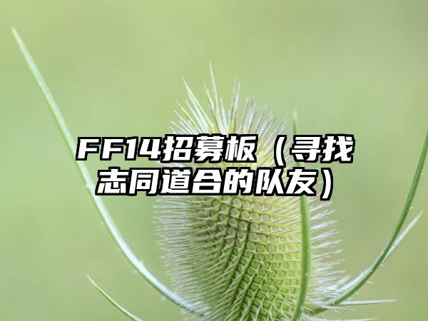 FF14招募板（寻找志同道合的队友）