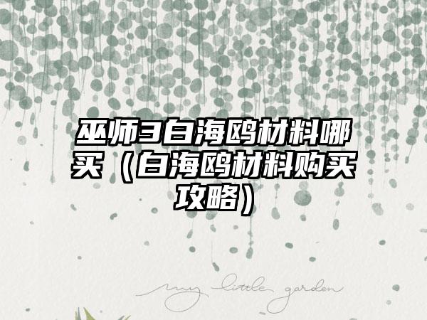 巫师3白海鸥材料哪买（白海鸥材料购买攻略）