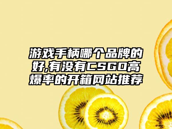 游戏手柄哪个品牌的好,有没有CSGO高爆率的开箱网站推荐
