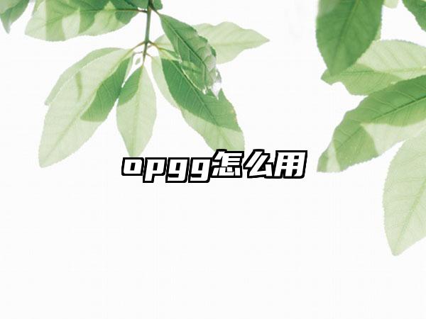 opgg怎么用