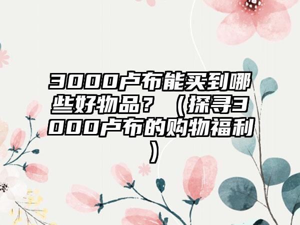 3000卢布能买到哪些好物品？（探寻3000卢布的购物福利）