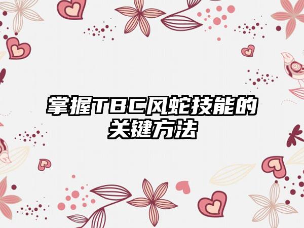 掌握TBC风蛇技能的关键方法