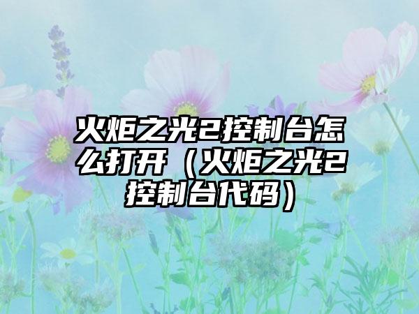 火炬之光2控制台怎么打开（火炬之光2控制台代码）
