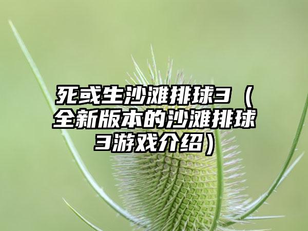 死或生沙滩排球3（全新版本的沙滩排球3游戏介绍）