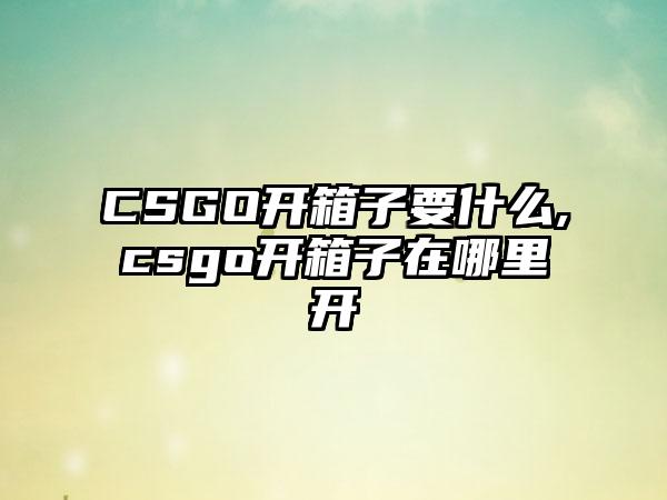 CSGO开箱子要什么,csgo开箱子在哪里开