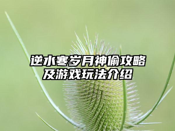 逆水寒岁月神偷攻略及游戏玩法介绍