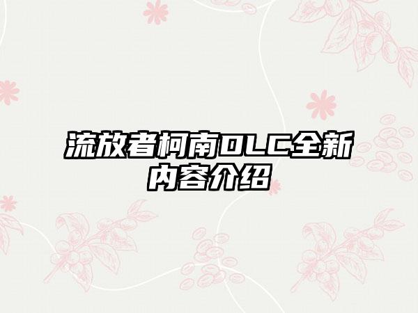 流放者柯南DLC全新内容介绍