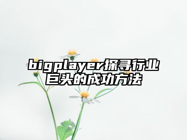 bigplayer探寻行业巨头的成功方法