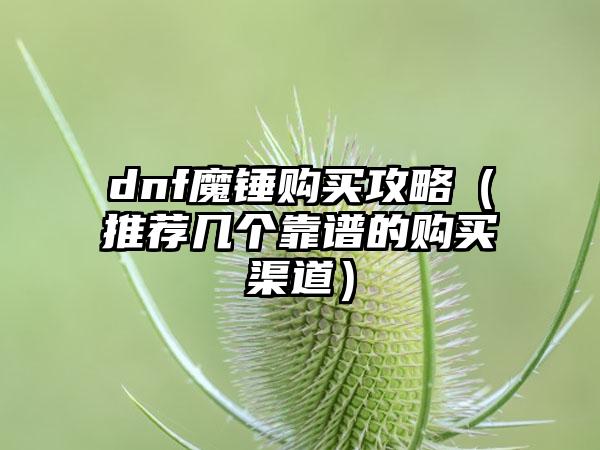 dnf魔锤购买攻略（推荐几个靠谱的购买渠道）