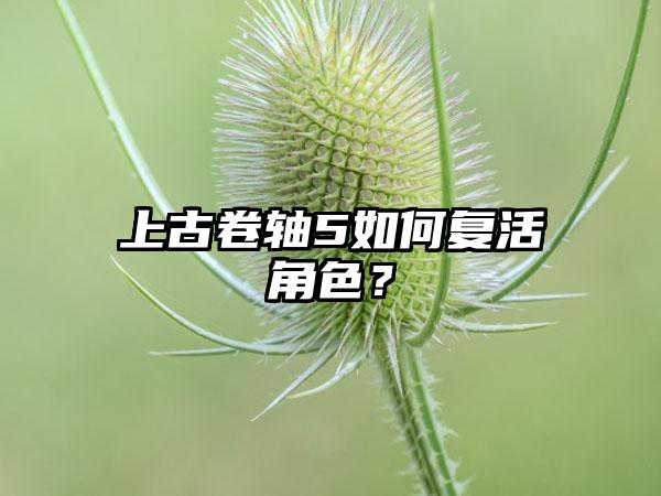 上古卷轴5如何复活角色？
