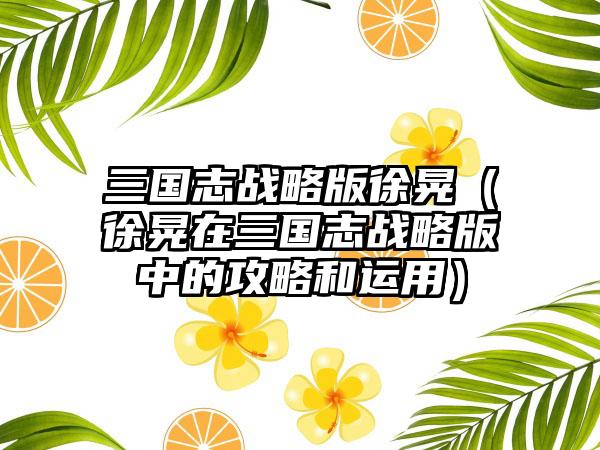 三国志战略版徐晃（徐晃在三国志战略版中的攻略和运用）