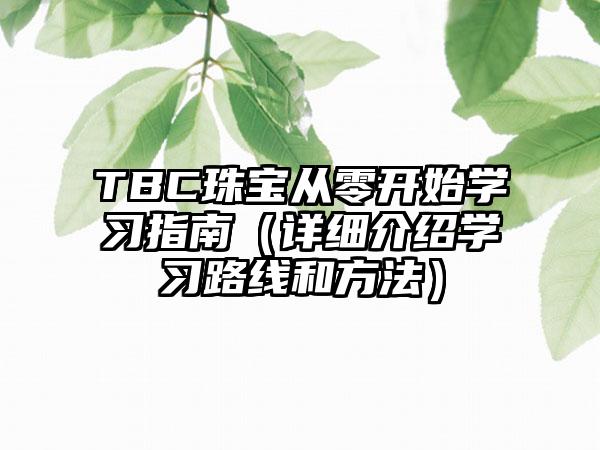 TBC珠宝从零开始学习指南（详细介绍学习路线和方法）