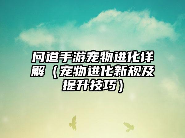 问道手游宠物进化详解（宠物进化新规及提升技巧）