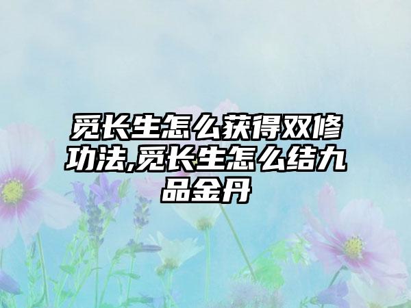 觅长生怎么获得双修功法,觅长生怎么结九品金丹