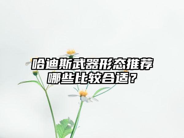 哈迪斯武器形态推荐哪些比较合适？