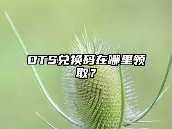 DTS兑换码在哪里领取？