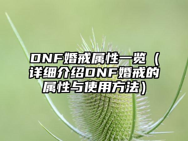 DNF婚戒属性一览（详细介绍DNF婚戒的属性与使用方法）