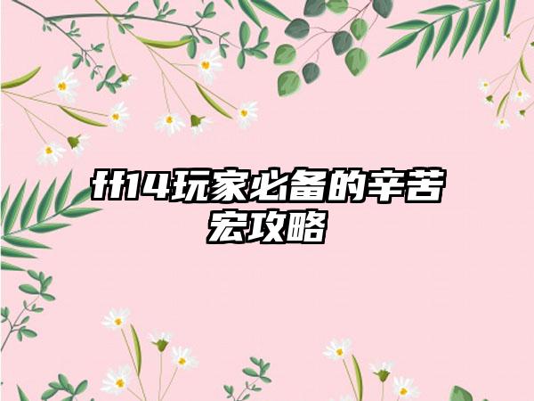 ff14玩家必备的辛苦宏攻略