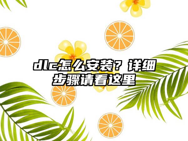 dlc怎么安装？详细步骤请看这里