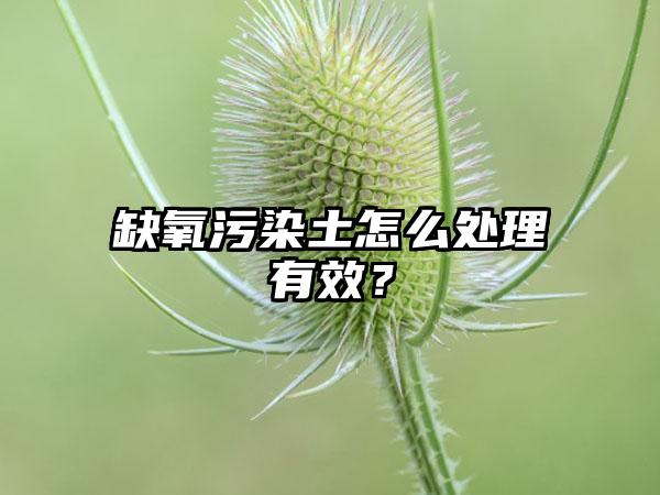 缺氧污染土怎么处理有效？