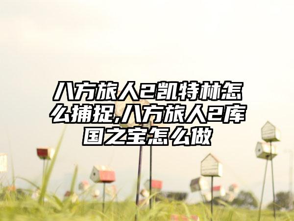 八方旅人2凯特林怎么捕捉,八方旅人2库国之宝怎么做
