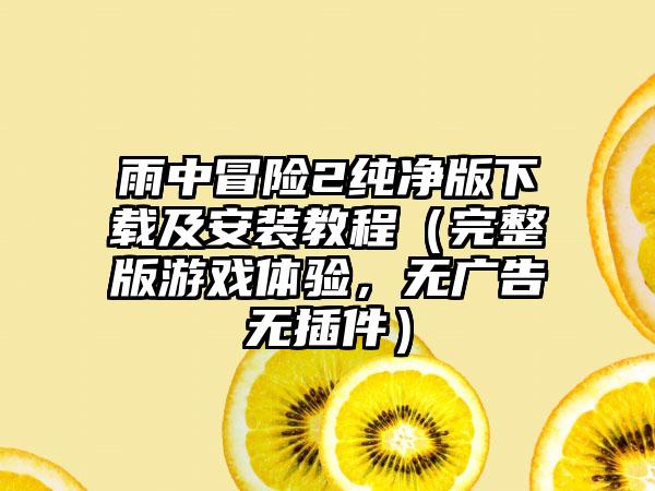雨中冒险2纯净版及安装教程（完整版游戏体验，无广告无插件）