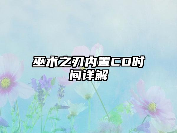 巫术之刃内置CD时间详解